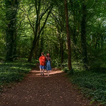 Hawthorn Hut Kilkenny Glamping At Jenkinstown House Campingplatz Jenkinstown Park